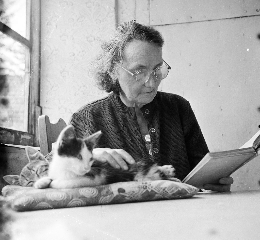 Idős asszony macskákkal